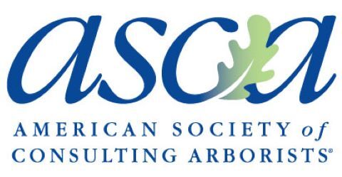 American Society of Consulting Arborists logo