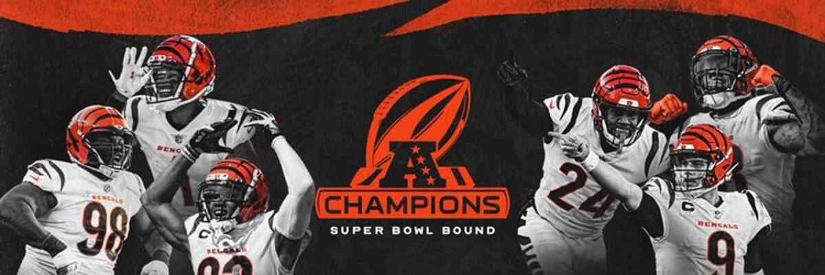 Bengals AFC Champions banner