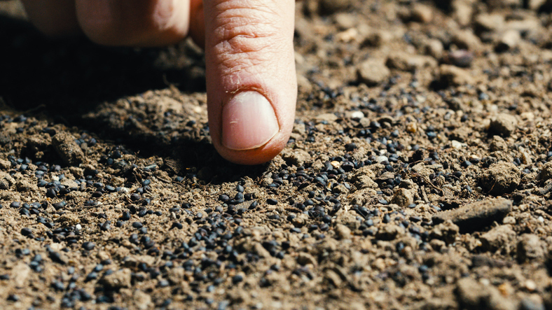 finger pointing to dirt