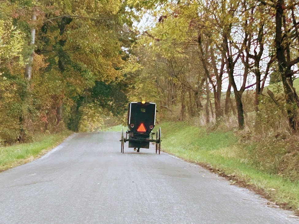 Amish buggy on a Holmes County lane in fall