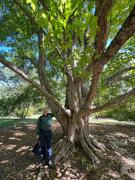 Ron with tree