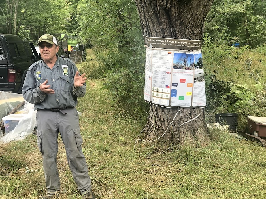 Man presenting graph that is attached to tree