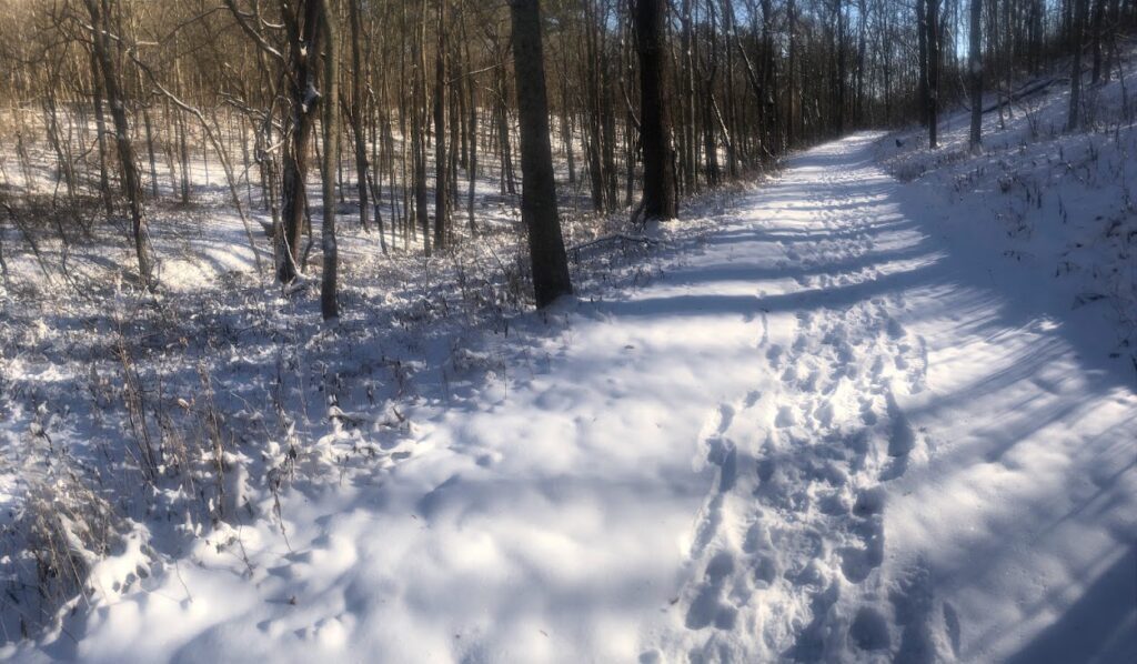 snowy trail