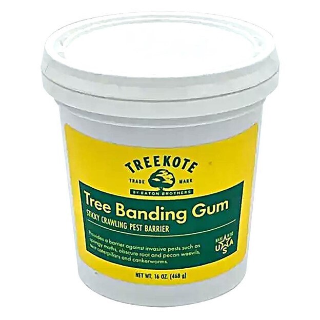 Picture of Treekote Tree Banding Gum container