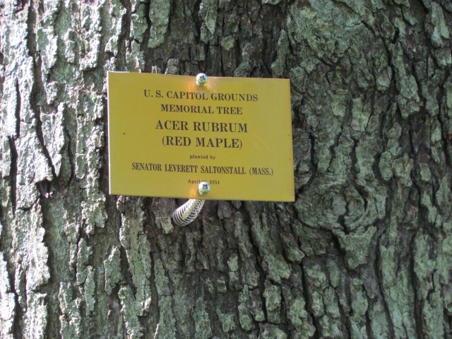 Plaque for "U.S. Capitol Grounds Memorial Tree - Acer Rubrum (Red Maple)"