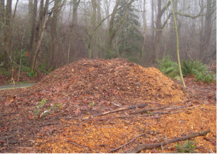 red mulch