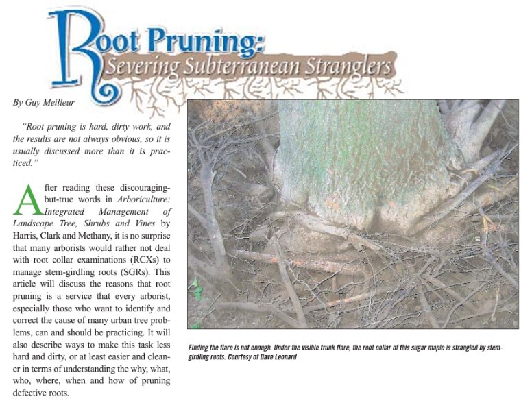 Root Pruning article