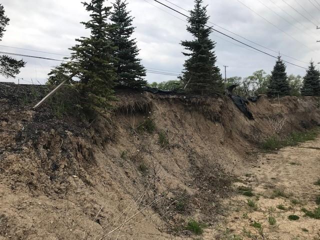 trees on edge of landslide