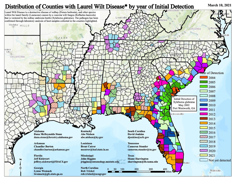 Distribution of Counties with Laurel Wilt Disease for South Eastern states