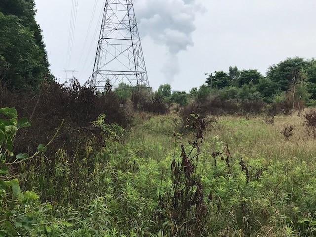 field in front of grass with power line tower in background