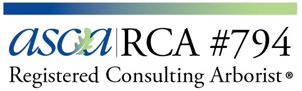 American Society of Consulting Arborists logo with RCA #794 Registered Consulting Arborist