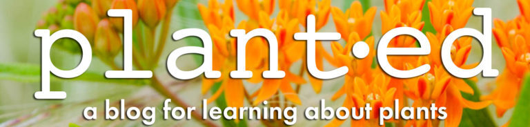 "plant-ed a blog for learning about plants" banner with picture of orange flowers