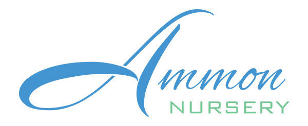 Ammon Nursery logo