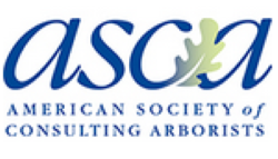 ASCA logo