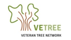 Vetree (Veteran Tree Network) logo