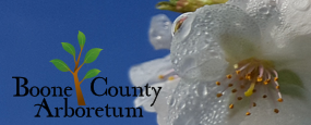 Boone County Arboretum logo overtop of white flower image