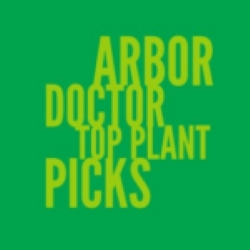 Arbor Doctor Top Plant Picks