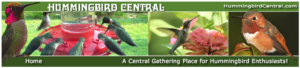 Hummingbird Central website