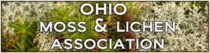 Ohio Moss & Lichen Association banner with picture of different weeds