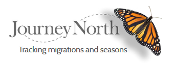 Journey North - Tracking migrations and season