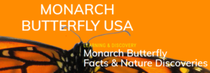 Monarch Butterfly USA