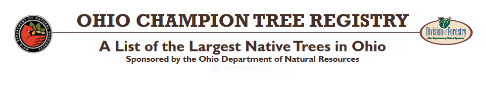 Ohio Champion Tree Registry - A list of the largest native trees in Ohio Sponsored by the Ohio Department of Natural Resources