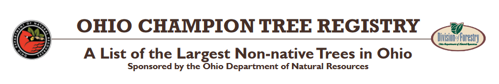 Ohio Champion Tree Registry - A list of the largest non-native trees in Ohio Sponsored by the Ohio Department of Natural Resources