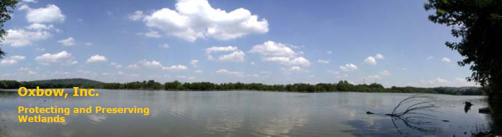 "Oxbow, Inc. - Protecting and Preserving Wetlands" with picture of lake 