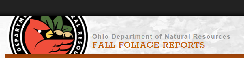 Ohio Department of Natural Resources - Fall Foliage Reports text with logo