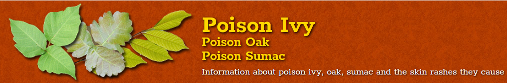 Poison Ivy, Poison Oak, Poison Sumac "Information about poison ivy, oak, sumac and the skin rashes they cause with picture of leaves