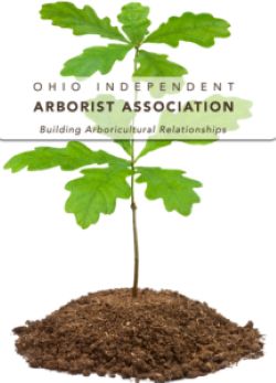 Ohio Independent Arborist Association overtop of leaves growing in in dirt