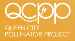 Queen City Pollinator Project logo