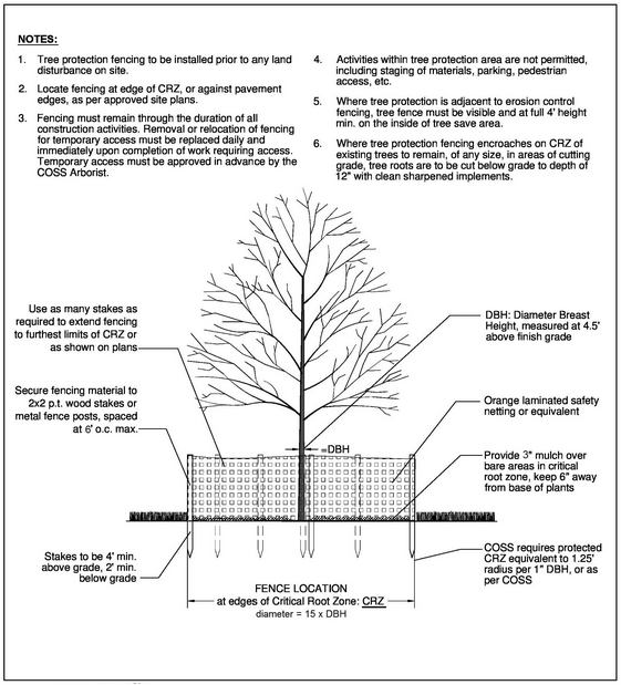 Graph of roots