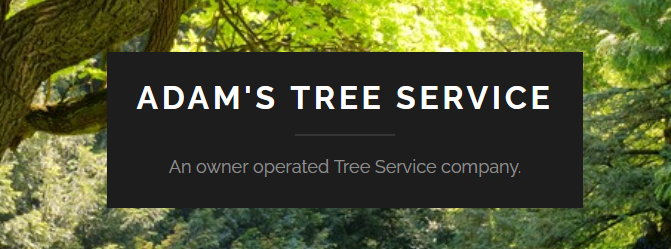 Adam's Tree Service banner "An owner operated Tree Service company" with tree background