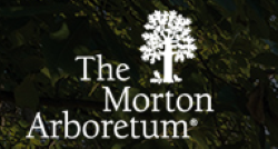 The Morton Arboretum logo