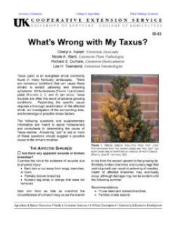 What's Wrong with My Taxus? article