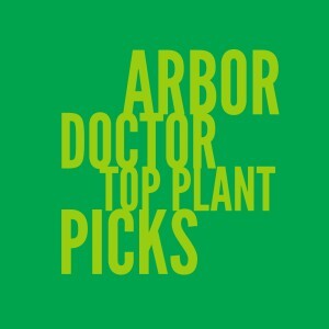 Arbor Doctor Top Plant Picks