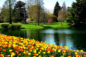 Lake with flowers and trees surrounding