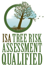 ISA Tree Risk Assessment Qualified with picture of tree losing branch