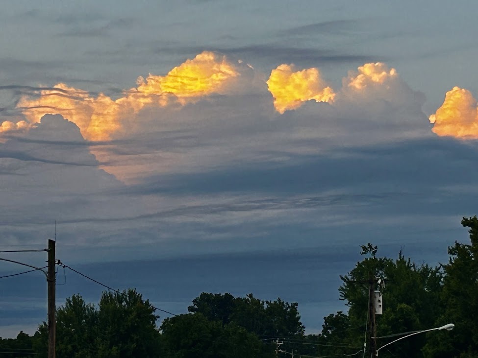 Cumulus congestus