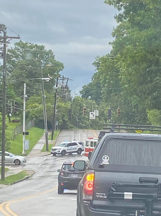 Tree damaged by storm