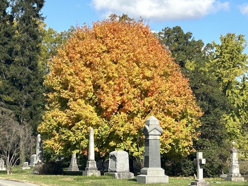 October maple