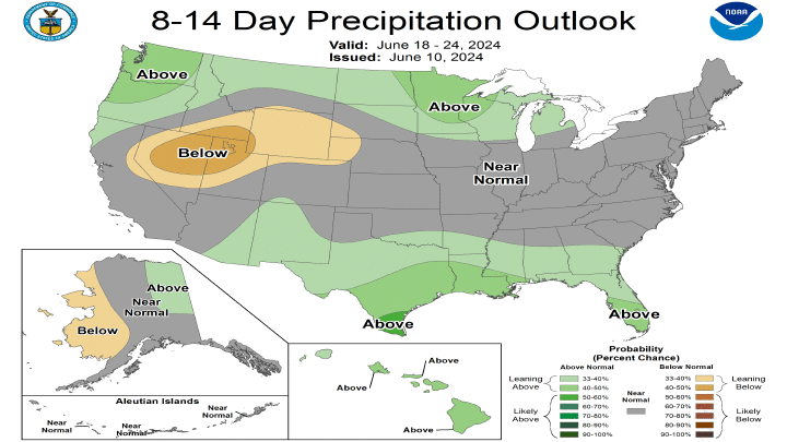 8-14 Precipitation Outlook Map of U.S.