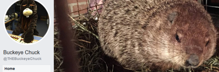 Buckeye Chuck Facebook profile and picture of groundhog